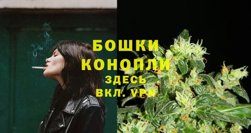 Канабис OG Kush  Вятские Поляны 